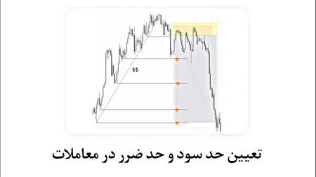 متاتریدر بهتره