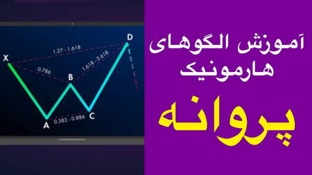 رواشناسی معامله گری